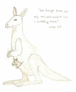Kangaroo